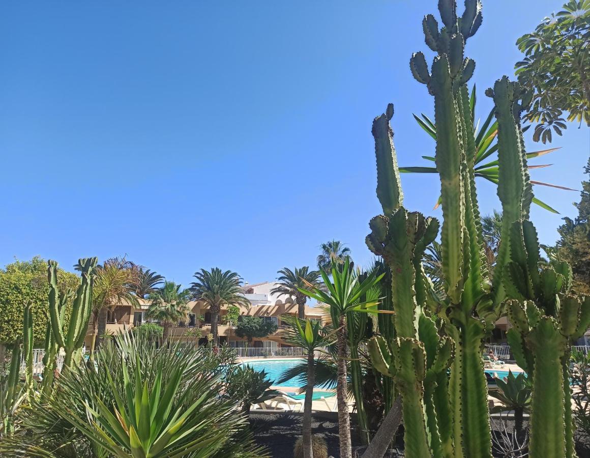 Elrincondesara Apartment Corralejo Luaran gambar