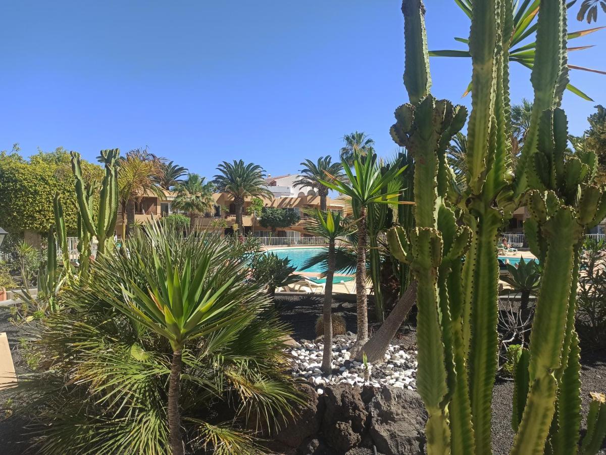 Elrincondesara Apartment Corralejo Luaran gambar